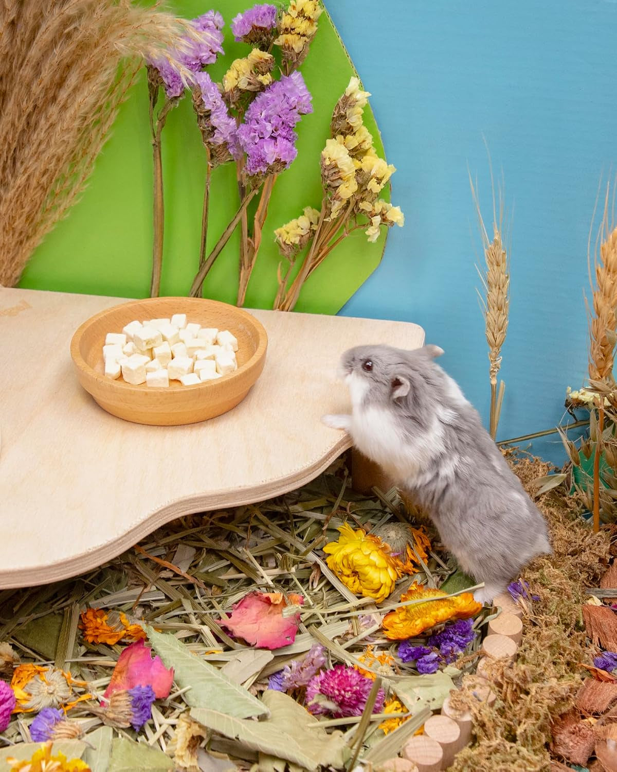 niteangel-hamster-snack-treats-toy-freeze-dried-tofu-no-additive-delivers-essential-vitamins-minerals-small-animal-natural-treat-for-dwarf-syrian-hamsters-gerbils-mice-degus-or-small-pets