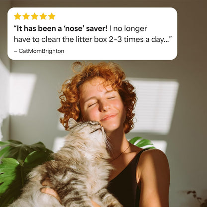 Fresh Step Advanced Ever Fresh Multi Cat Clumping Litter with Febreze Freshness, Ammonia Block Technology, Ultra Absorbent, 16 Lb. Box, Pack of 211