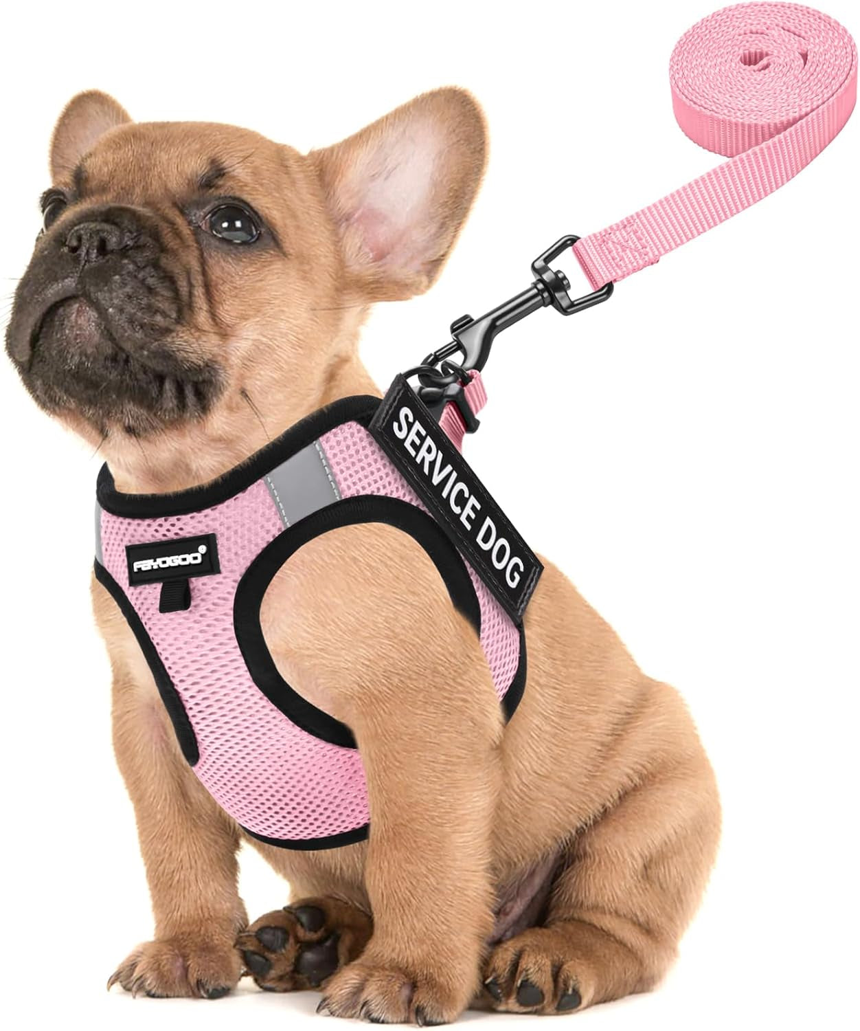 fayogoo-service-dog-vest-for-small-dogs-lightweight-dog-harness-with-6pcs-removable-patches-puppy-harness-and-leash-set-for-walking-training