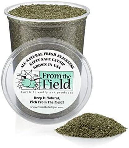 From the Field | Fine Ground Stalkless Catnip | Premium Usa-Grown Catnip for Toys & Playtime | Fresh, Potent, Non-Toxic, Eco-Friendly | Safe for Kittens & Cats | Resealable 6 Oz Tub2