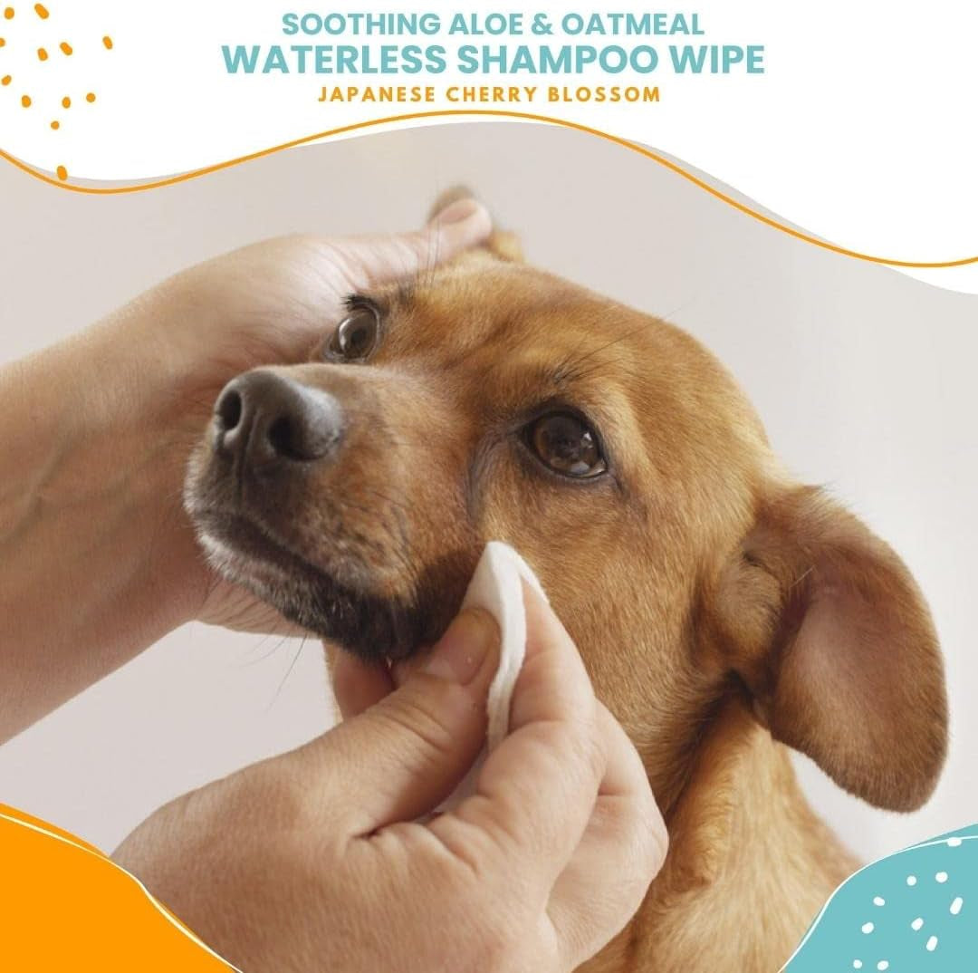 nootie-waterless-shampoo-wipes-for-dogs-cats-long-lasting-japanese-cherry-blossom-fragrance-sold-in-over-10-000-vet-clinics-and-pet-stores-worldwide-made-in-usa-70-count