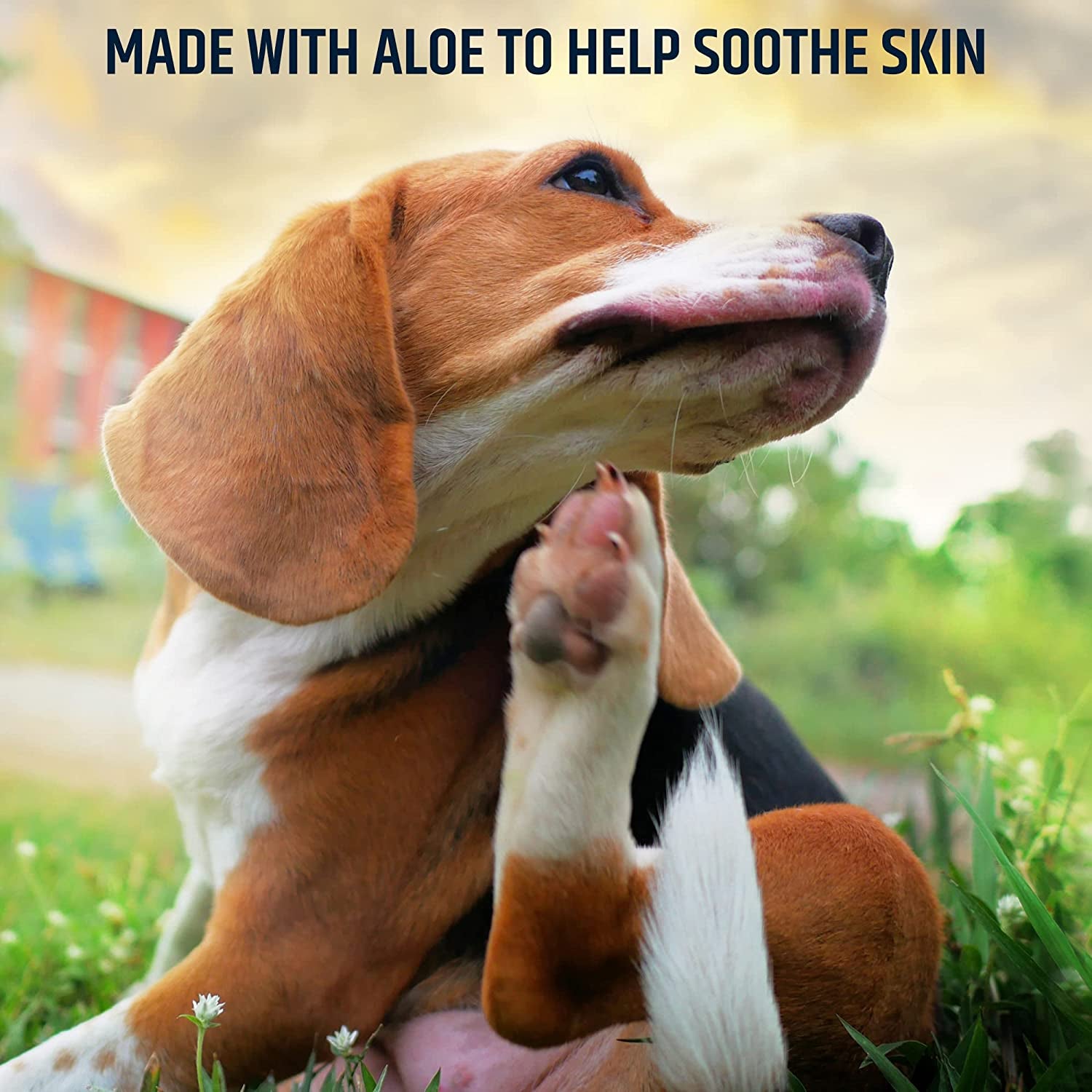 pet-md-topical-wipes-for-cleansing-with-aloe-for-cats-and-dogs-50-count