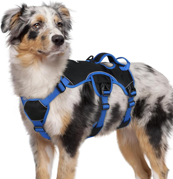Rabbitgoo Escape Proof Dog Harness for Large, No Pull with Lift Handle | No Escape, Full Soft Padded, Reflective Adjustable Vest, Leash Clip for Walking Hiking Training, Black, Large22