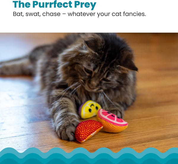 Catstages Dental Fruit Wedges 4 Pk, Soft and Textured Catnip Chew Toys That Help Clean Teeth, Multicolored4