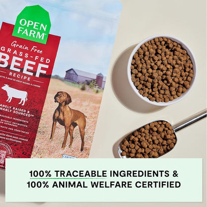 Open Farm Grain Free Dry Dog Food, Grass-Fed Beef Kibble, 22Lb Bag | All Life Stages, All Breed Sizes, Protein-Rich & Nutrient Dense, 100% Traceable Ingredients, Non-Gmo Fruits & Veggies.5