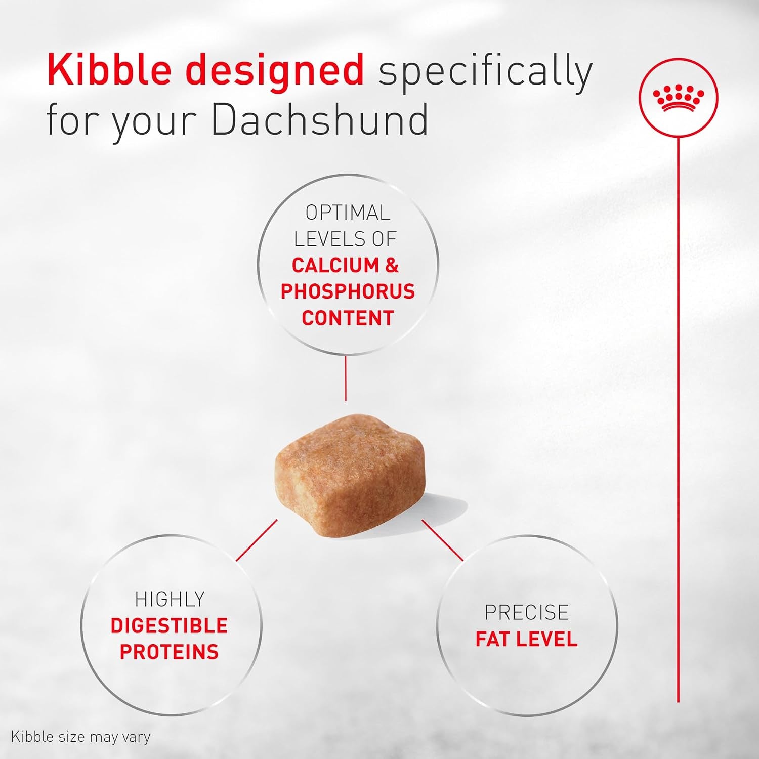 royal-canin-breed-health-nutrition-dachshund-adult-dry-dog-food-10-lb-bag-specialized-kibble-shape-supports-joint-and-bone-health-promotes-healthy-weight-complete-and-balanced-nutrition