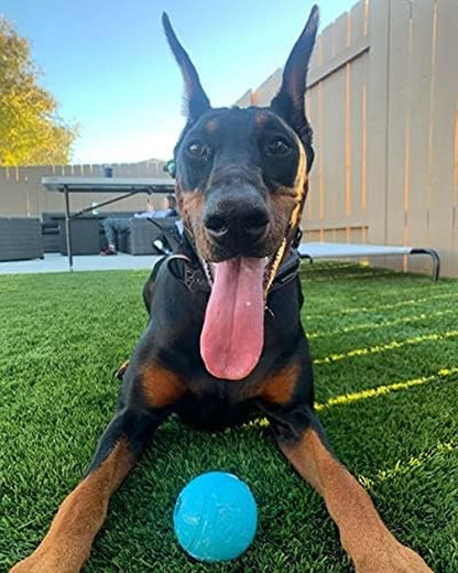 Chew King Fetch Balls Extremely Durable Natural Rubber Toy Pack of 3 - 3 Inch Balls (CM-0263-CS01)9