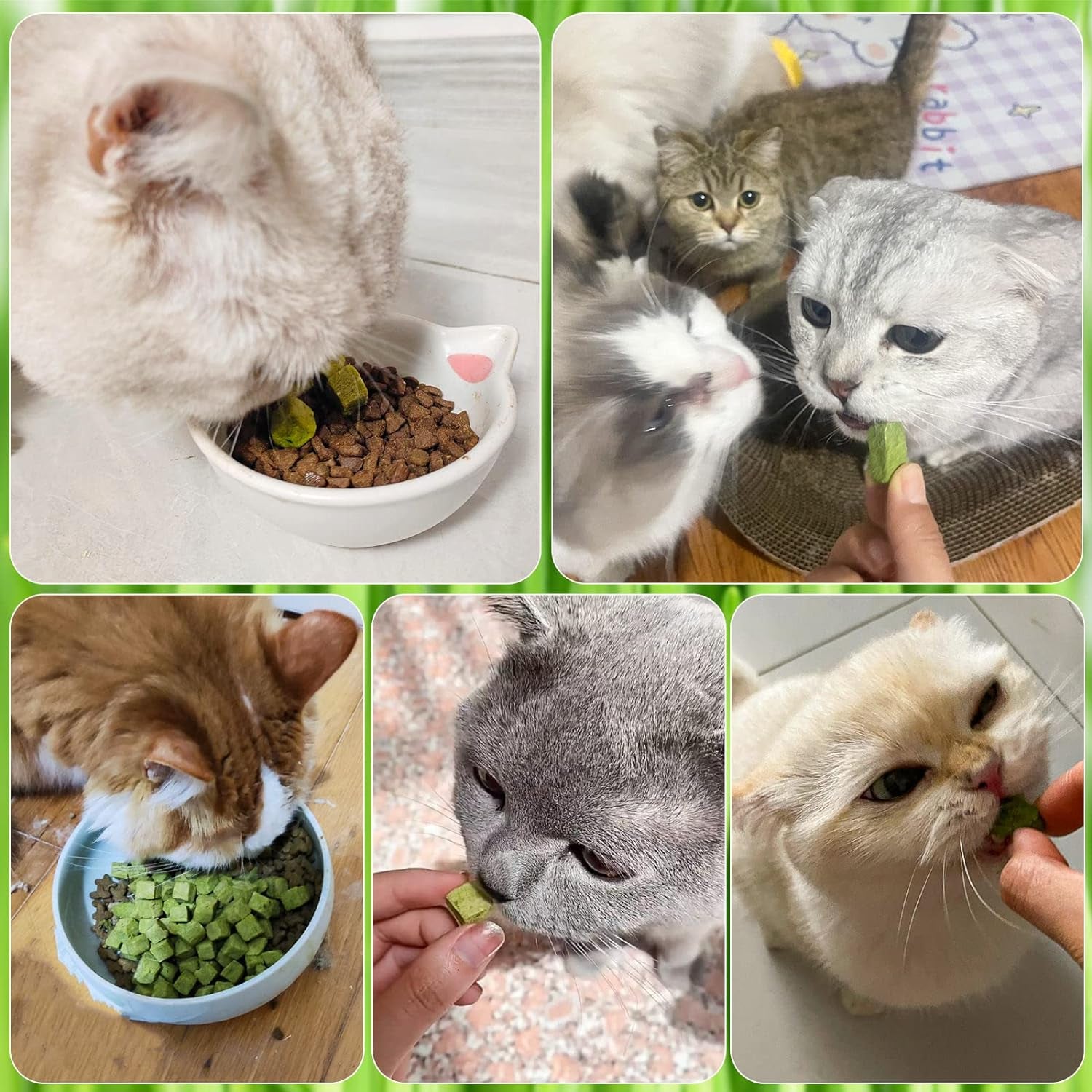 60g-cat-grass-treats-for-indoor-cats-freezed-dried-cat-grass-teething-stick-snacks-for-cats-edible-feline-chew-toys-for-hairball-control-and-oral-health