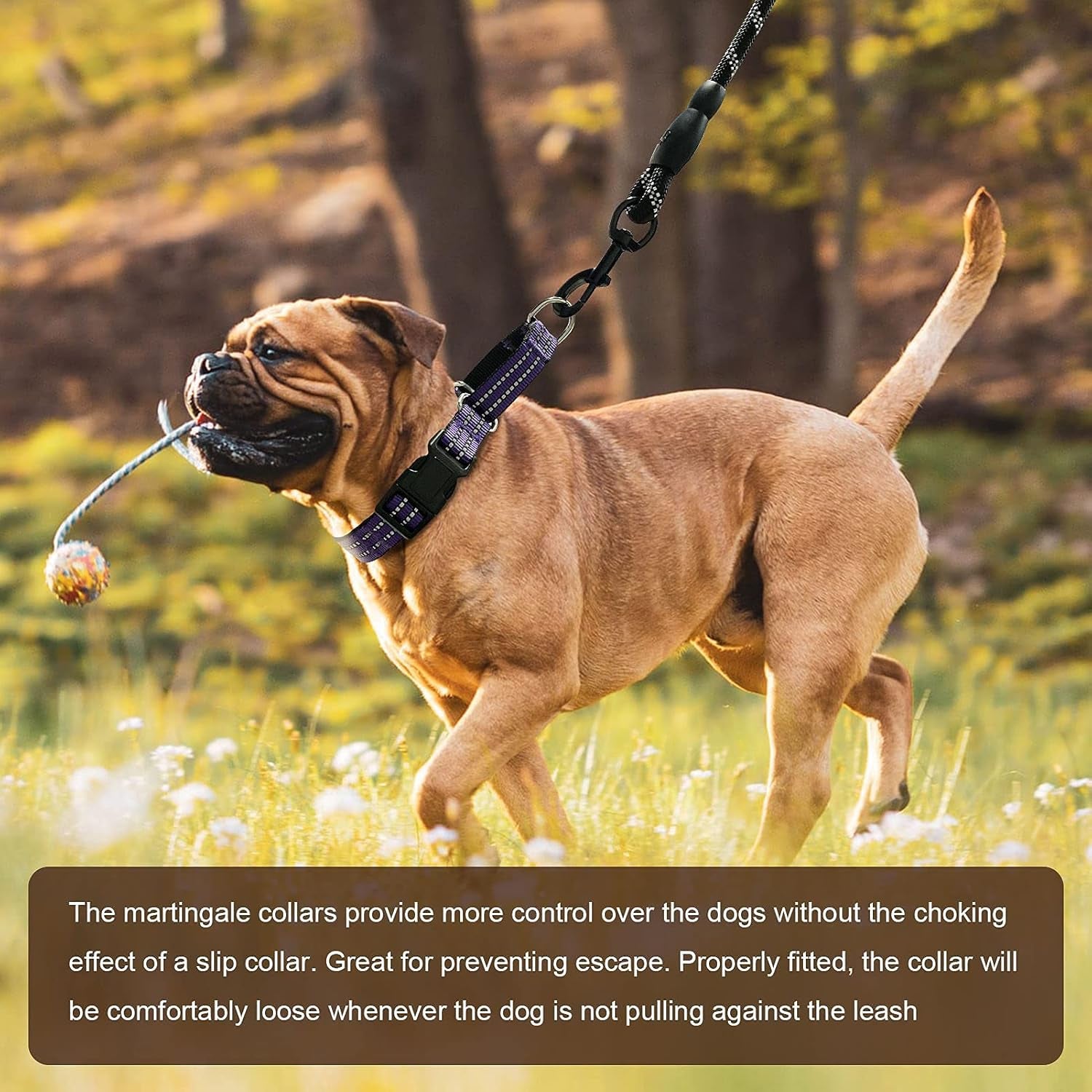 martingale-collars-for-dogs-reflective-escape-proof-training-dog-collars-with-quick-release-buckle-adjustable-no-slip-nylon-dog-collar-for-medium-pets