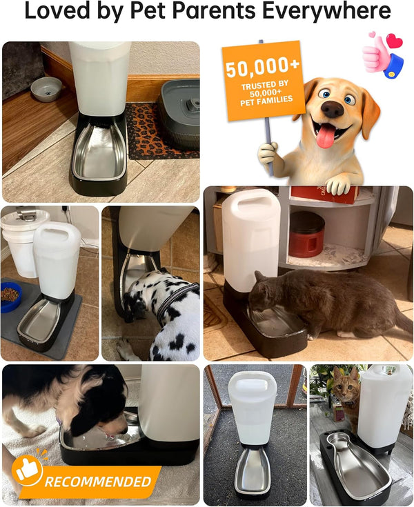 Automatic Dog Water Bowl Dispenser - 2.4 Gallon Gravity Pet Water Dispenser with 304 Stainless Steel Bowl, Dog Auto Feeders Bowls Self Waterer, Easy-Carry Handle for Large Dogs & Cats, Multi-Pet Home7