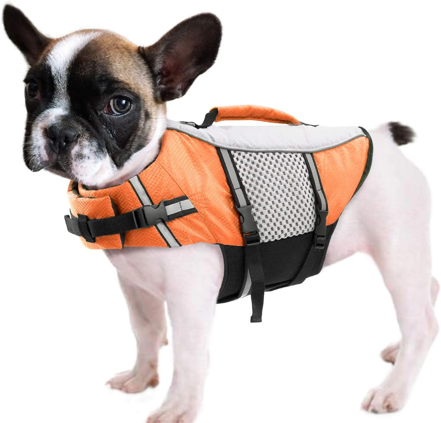 queenmore-dog-life-jacket-small-float-vests-for-swimming-boating-kayaking-mediumn-puppy-dogs-cats-neoprene-life-preserver-pet-water-lifesaver-lightweight-reflective-green-l