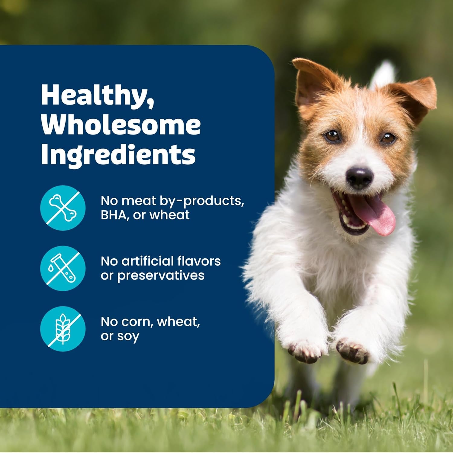 blue-buffalo-mini-health-bars-apples-yogurt-crunchy-dog-biscuits-bite-sized-for-training-oven-baked-with-real-apples-natural-ingredients-healthy-dog-treats-16-oz