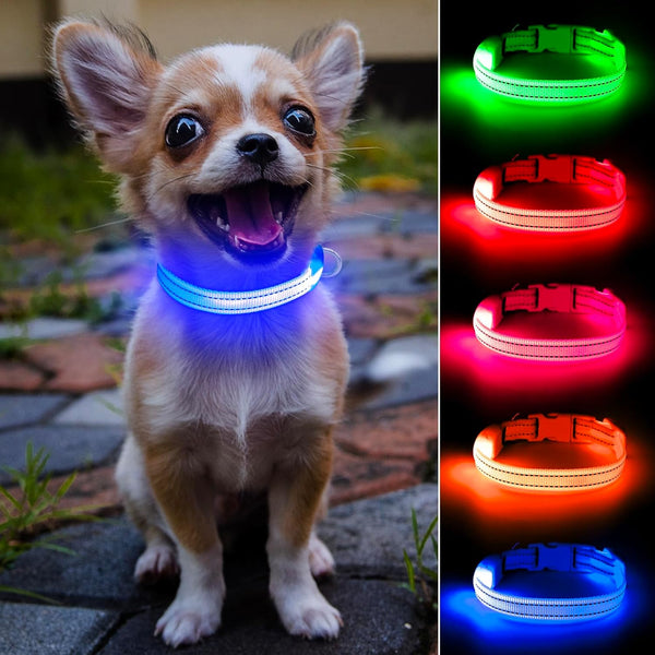 Light up Dog Collar for Small Dogs& Cats, Reflective LED Dog Collar Rechargeable Glowing Puppy Collar Safety Dog Lights for Night Walking (Royal Blue)1