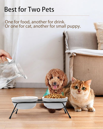 Anti-Vomiting Raised Cat Bowls - 2 × 13 Oz Ceramic Cat Food & Water Bowls with Non-Slip Stainless Steel Stand, Dishwasher Safe for Indoor Cats5