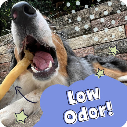 Pawstruck Natural Large 10-13” Beef Collagen Braids for Dogs – Long-Lasting Rawhide & Bully Stick Alternative, with Chondroitin & Glucosamine – 3 Pack7