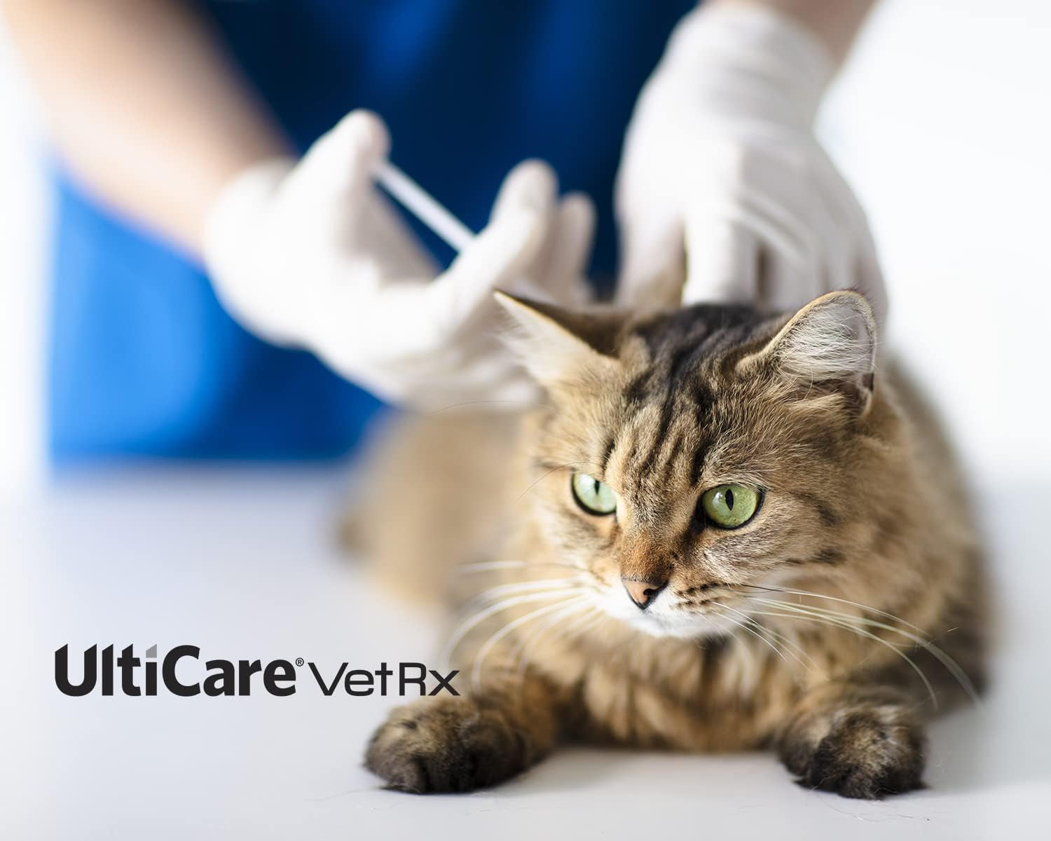 ulticare-vetrx-u-100-pet-insulin-syringes-comfortable-and-accurate-dosing-of-insulin-for-pets-compatible-with-any-u-100-strength-insulin-size-3-10cc-29g-x-1-2-100-ct-box