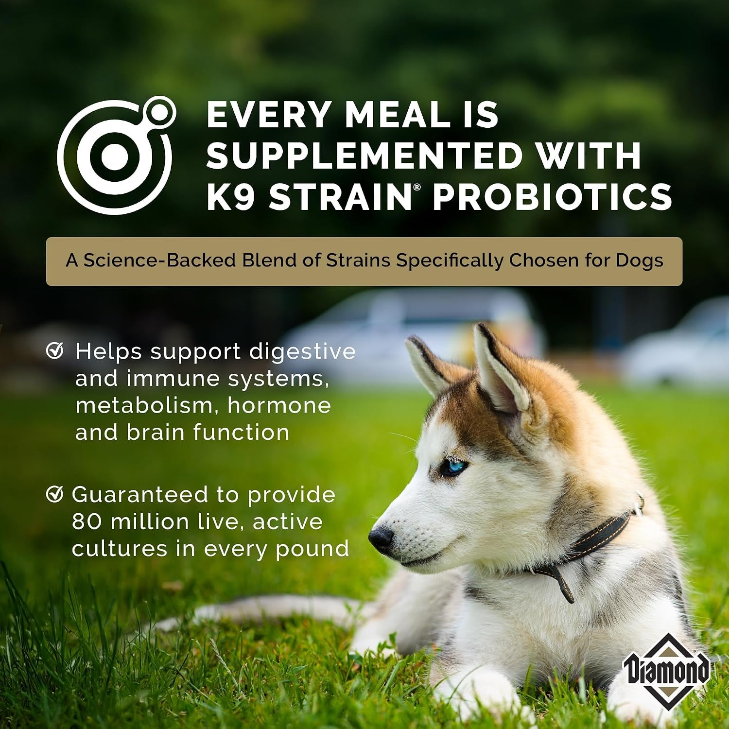 diamond-puppy-high-protein-dry-dog-food-chicken-protein-40lb-puppy-adult-senior-dogs-dha-for-proper-brain-vision-development-guaranteed-probiotics-for-digestive-support