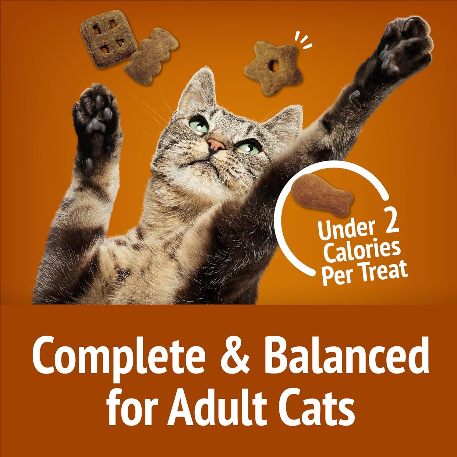 purina-friskies-cat-treats-party-mix-chicken-lovers-crunch-20-oz-pouch