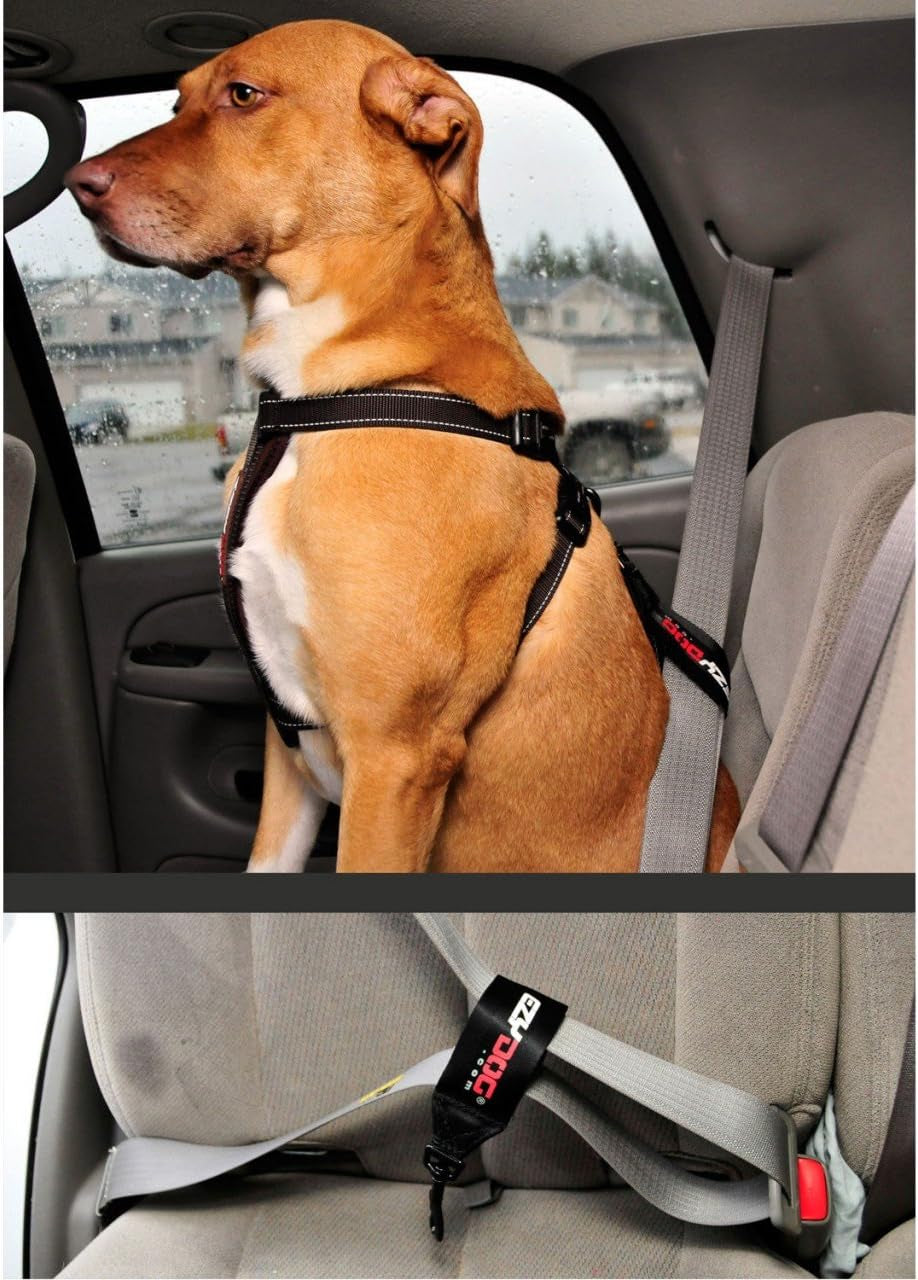 ezydog-universal-dog-seat-belt-restraint-for-cars-attaches-to-your-cars-seat-belts-keeps-dog-in-place-dog-can-sit-or-lay-just-fasten-to-d-ring-on-your-ezydog-harness