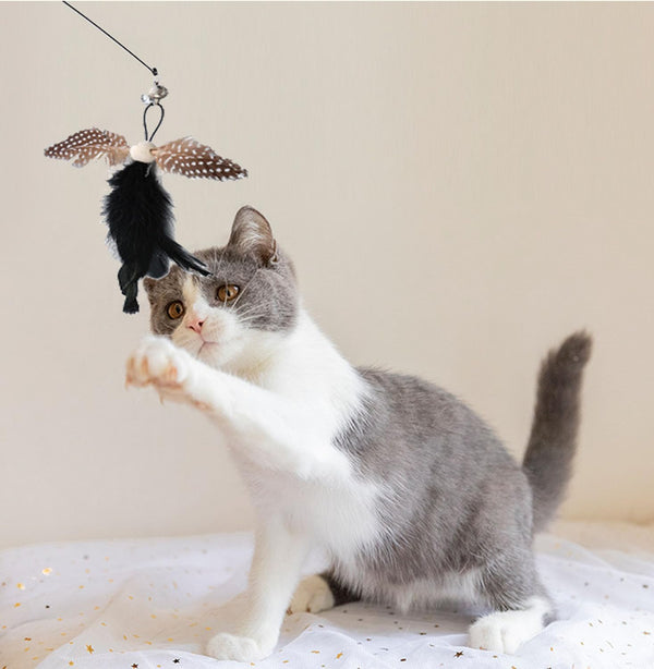 Yauende Cat Feather Toys, Indoor Cat Interactive Toys, 2 PCS Flexible Wire and 5 PCS Cat Feather Toys, for Bored Indoor Cats, Indoor Cat Chase Toys6