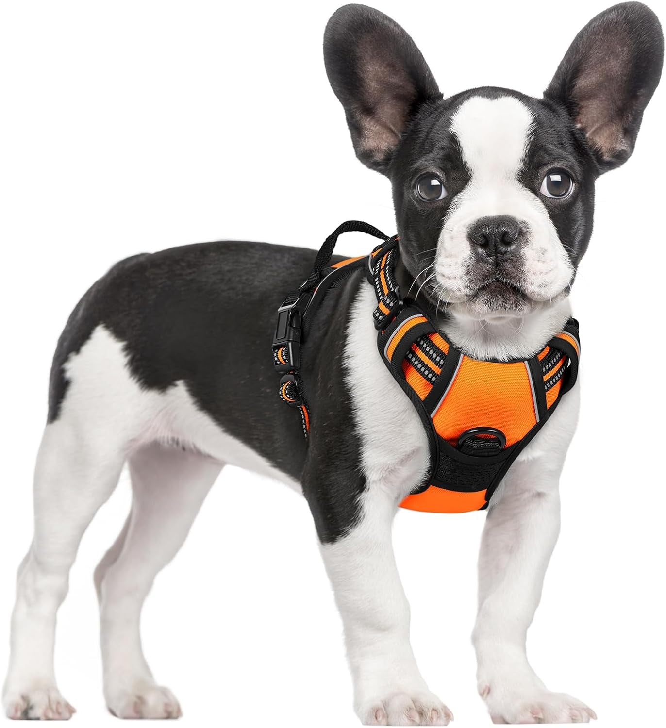 rabbitgoo-dog-harness-no-pull-for-large-dogs-with-2-leash-clips-pet-vest-no-choke-with-handle-adjustable-soft-padded-reflective-easy-control-for-walking-black-large