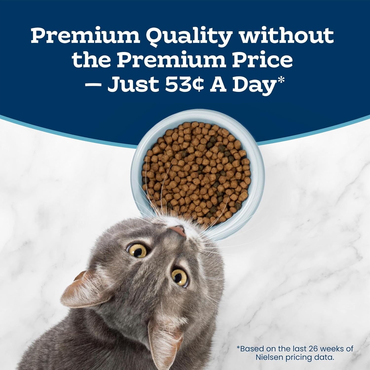 blue-buffalo-tastefuls-chicken-brown-rice-recipe-sensitive-stomach-adult-dry-cat-food-real-chicken-first-deliciously-healthy-natural-cat-food-natural-ingredients-supports-digestion-7-lb-bag