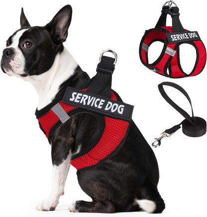 PUPTECK Dog Harness and Leash Set for Small Medium Dogs No Pull Step-In Soft Mesh Puppy Cat Vest Harnesses Reflective at Night, Green S7