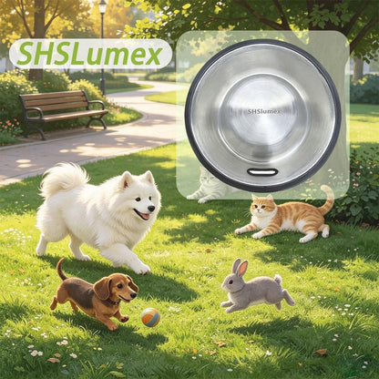Shslumex 2Packs Stainless Steel Cat Bowl with Anti-Skid Rubber Base, Stainless Steel Dog Bowls for Small/Medium/Large Pet, Perfect Dish and Water Choice for Puppy Cat Kitten6