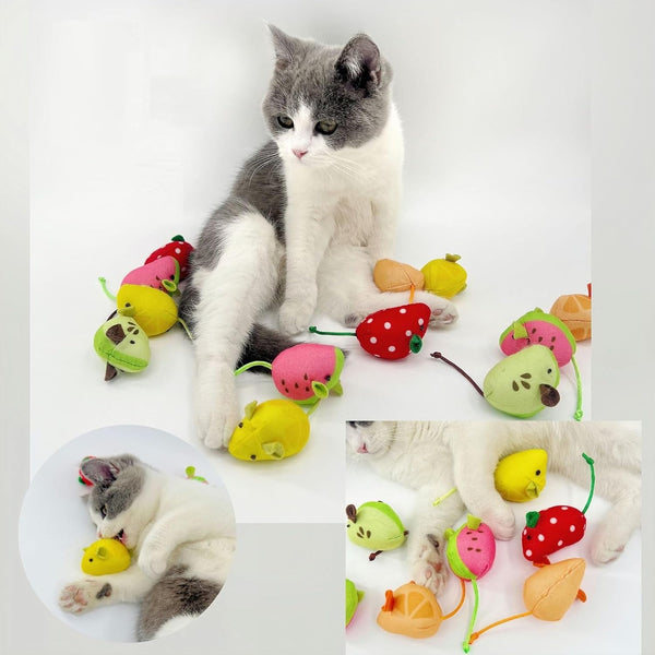 Catnip Cat Mice Toys Interactive Mouse Cat Toy for Indoor Adult Cats Kitten Kitty Baby Cat Chew Exercise Toy Fruit-Shaped Mice Cat Toy Set - 5PCS3