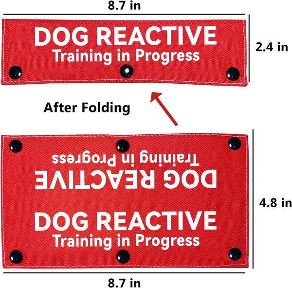 Advivio Dog Reactive Training in Progress Funny Red Dog Leash Sleeve, Wrap Alert Hanging ID Patch Tag for Pet the Best Choice for Daily Walking and Training Fitness, Pet Birthday Gift2