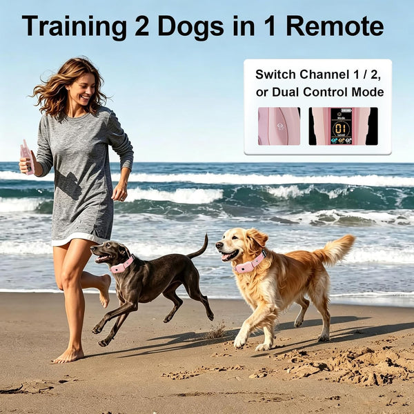 Dog Shock Collar 2 Dog- 3300FT Dog Training Collar for Small Medium Large Dog (5-120Lbs) with Remote,Ip67 Waterproof E-Collar with Beep (8 Sounds) Vibration (1-16) Shock (1-16) Flash Light,Pink5