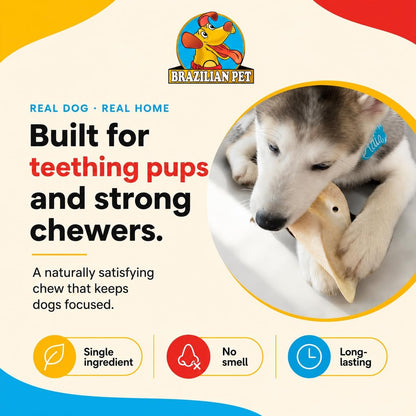 Brazilian Pet 100% Natural Real Cow Ears (50 Pack) Prime Dog Chews, over 5 Inches Free Range Grass Fed Cattle, No Additives, Chemicals or Hormones5