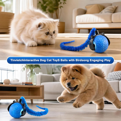 Automatic Cat Toy Ball – Interactive Rolling Ball for Indoor Cats, 3 Modes Motion Activated Self-Play Cat Toy with Tail, Eco-Friendly Cat Exercise Ball to Keep Your Cat Busy7