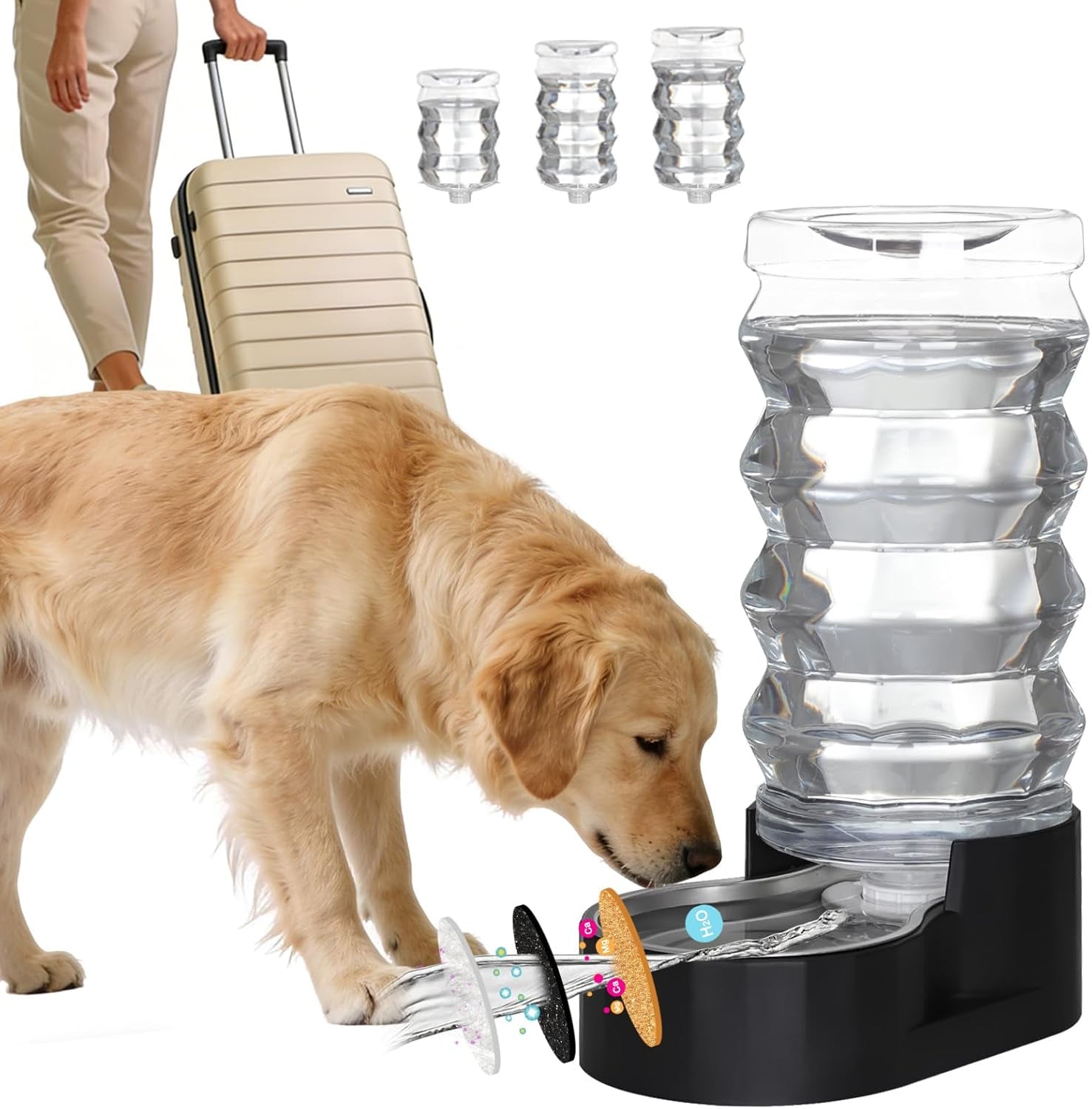 rizzari-8l-gravity-dog-water-dispenser-stainless-steel-bowl-anti-splash-wide-mouth-easy-cleaning-dishwasher-safe-no-electricity-needed-filtered-fresh-water-multi-pet-homes
