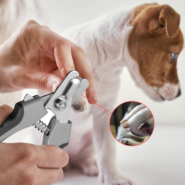 Tpotato Dog Nail Clippers,Dog Nail Trimmers for Large Breed Dog with Quick Sensor,Safari Professional Cat Nail Clipper with Safety Guard and Nail File.4