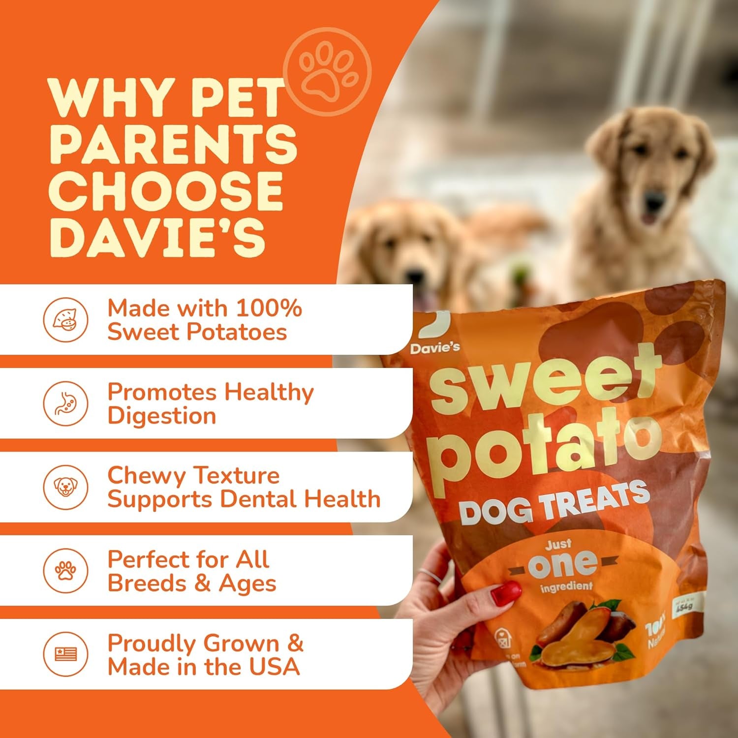 davies-sweet-potato-dog-treats-healthy-natural-dog-chews-low-fat-1-lb-bag