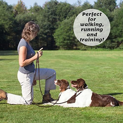 ADITYNA Leather Dog Leash for Small & Medium Dogs, 6Ft X 5/8" | Soft yet Strong Leather Leash for Walking, Training, Hiking — Great for Shih Tzu, Poodle, French Bulldog, Corgi.4