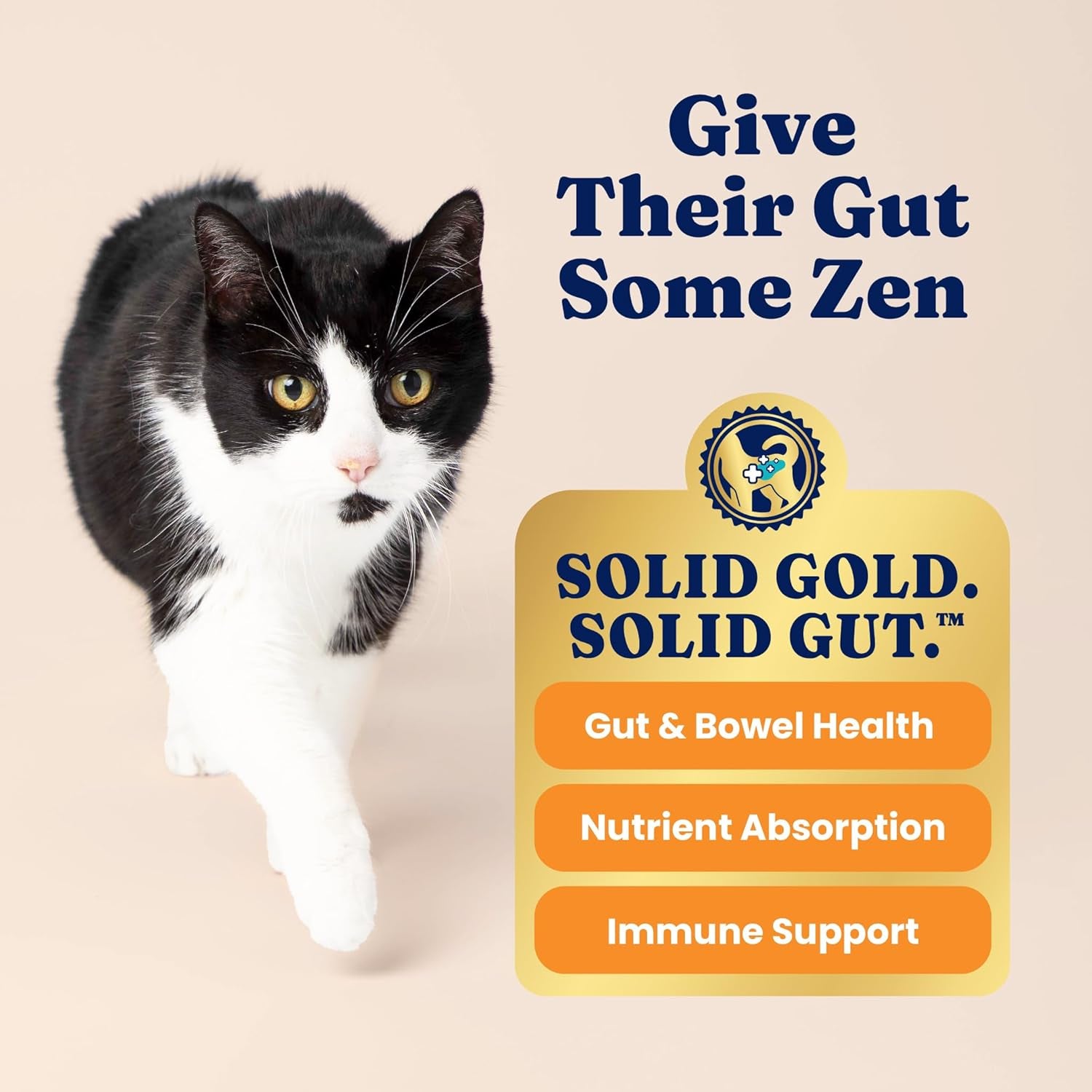 solid-gold-high-protein-dry-cat-food-grain-free-gluten-free-chicken-cat-dry-food-w-probiotics-for-gut-health-digestion-high-fiber-omega-3-low-carb-superfood-kibble-for-cats-all-ages-12lb