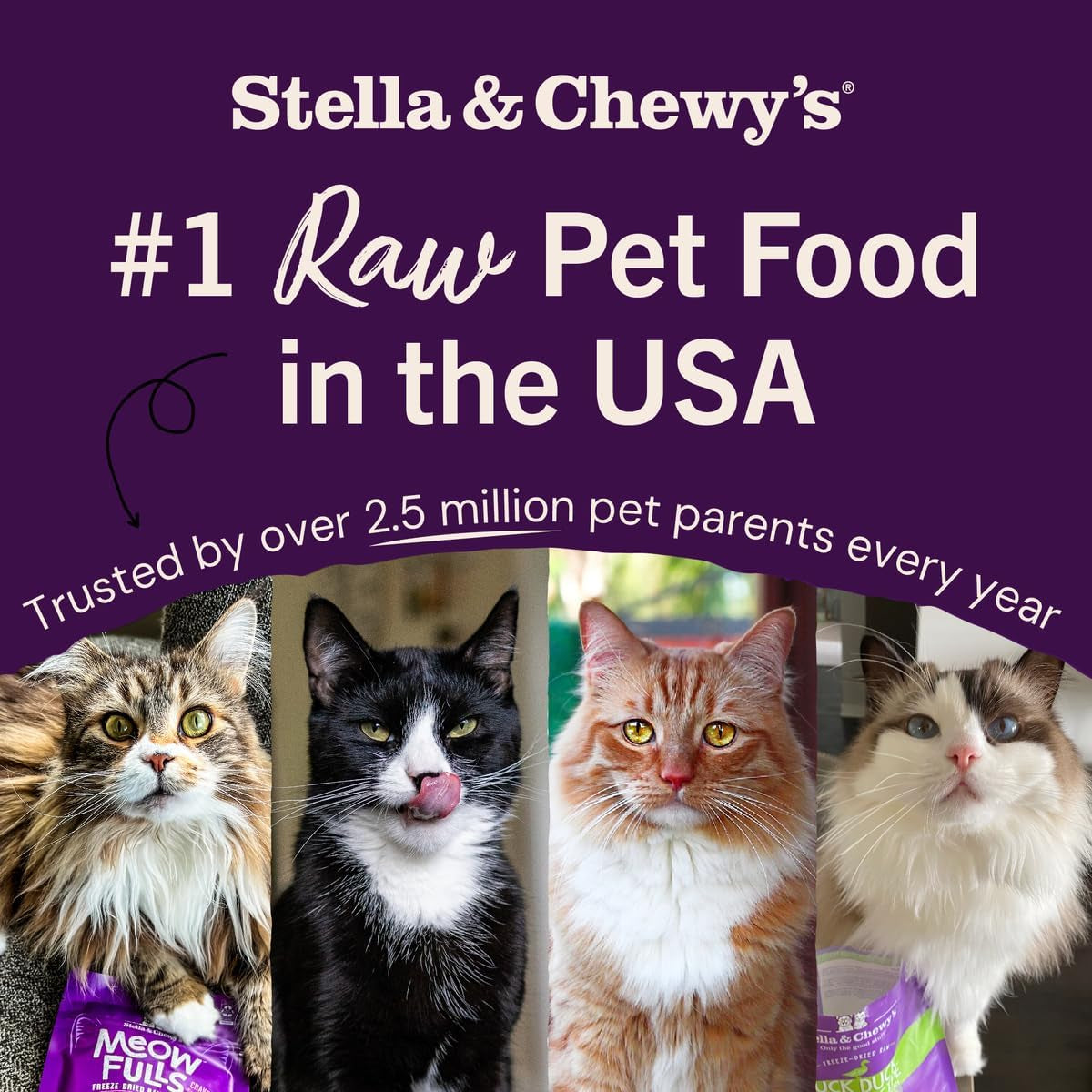 stella-chewys-freeze-dried-raw-cat-dinner-morsels-premium-chicken-recipe-with-98-cage-free-meat-organs-natural-grain-free-cat-kitten-food-made-in-usa-18-oz