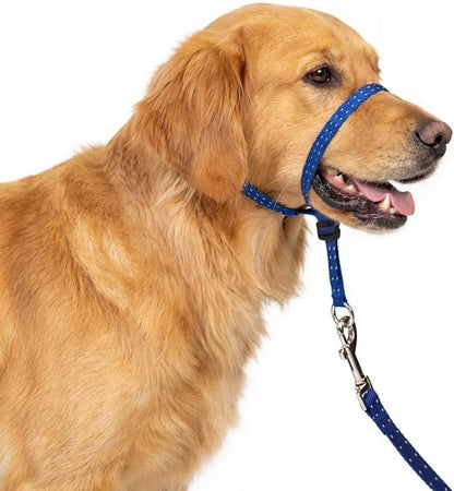 Headcollar for Dogs, Extra Soft Padded, Reflective, No Pull Dog Collar, Gentle Leader for Dogs with Durable Nylon Leash, Padded Handle - Navy Blue (Large)1