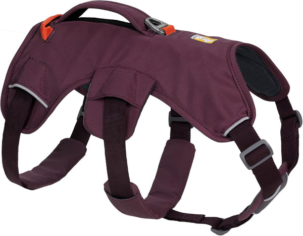 Ruffwear, Web Master, Multi-Use Support Dog Harness, Hiking and Trail Running, Service and Working, Everyday Wear, Basalt Gray, X-Small14