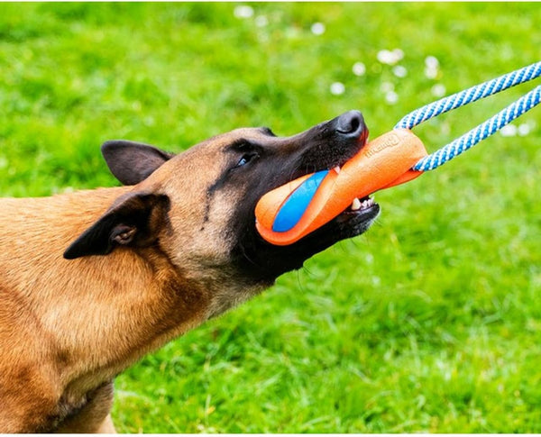 Chuckit! Ultra Bumper Tug Dog Toy,Orange,Medium5