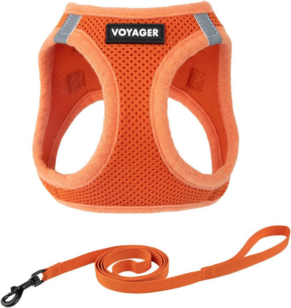 Voyager Step-In Pet Harness - All Weather Mesh, Adjustable Step in Harness for Cats and Dogs by Best Pet Supplies - 307 Set Moss Green, M25