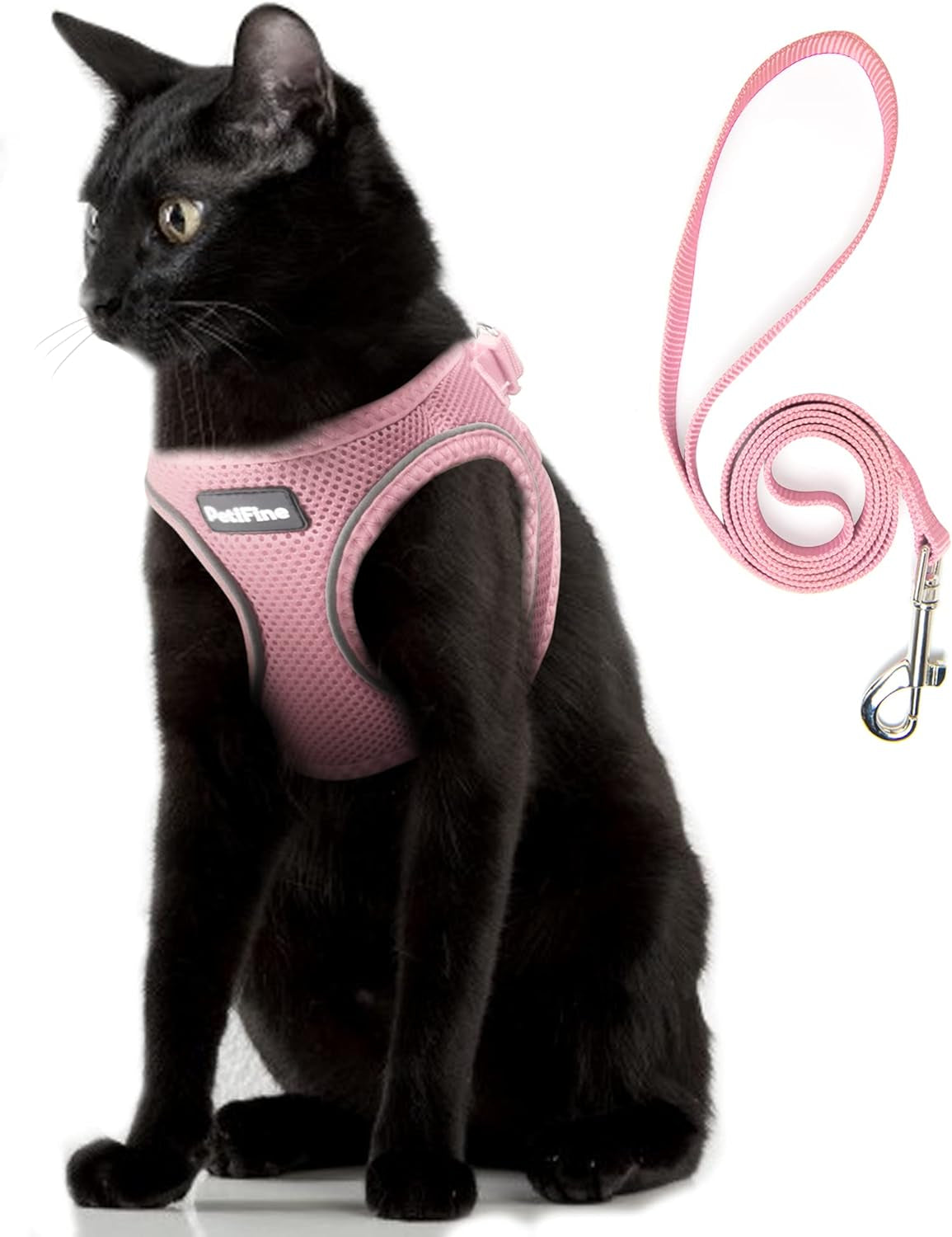 small-dog-harness-and-leash-set-breathable-step-in-puppy-cat-harness-xs-reflective-for-safe-easy-walking-soft-light-puppy-vest-escape-proof-no-pull-harness-for-dogs-all-weather-air-mesh-harness