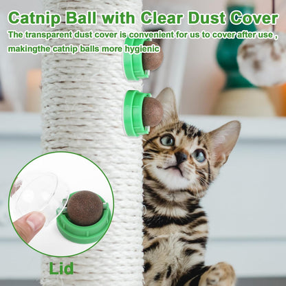 CCINEE 3PCS Catnip Balls for Cats Wall Catnip Toys Edible Cat Toys for Cat Lick Safe Healthy Kitten Chew Toys Teeth Cleaning Dental Cat Toys6