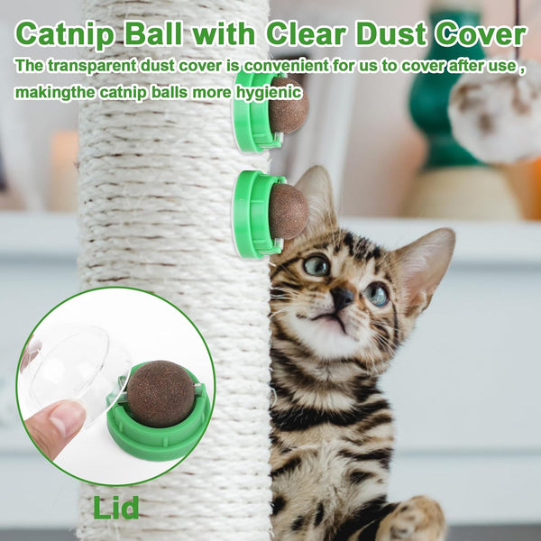 CCINEE 3PCS Catnip Balls for Cats Wall Catnip Toys Edible Cat Toys for Cat Lick Safe Healthy Kitten Chew Toys Teeth Cleaning Dental Cat Toys6