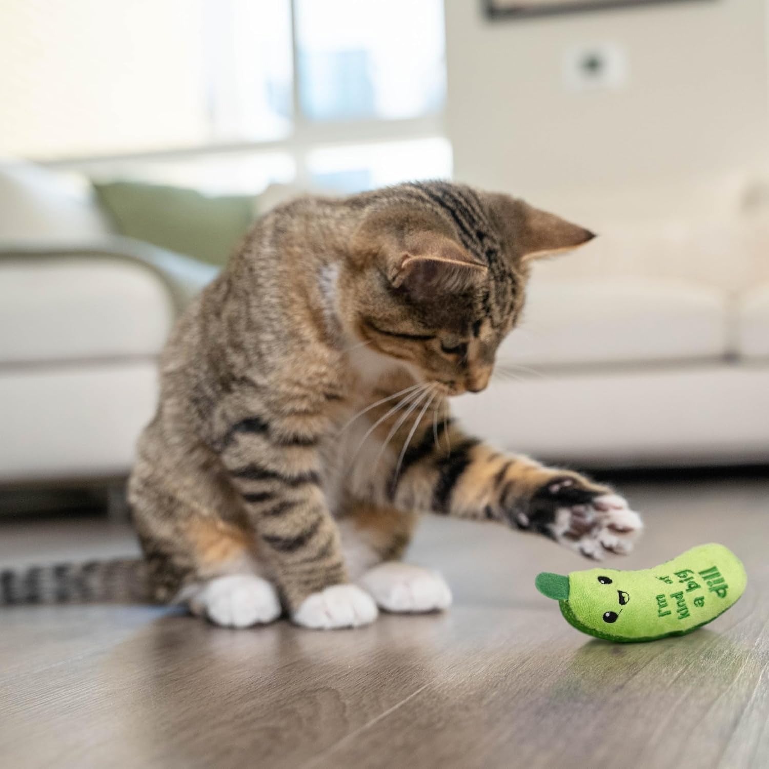 catstages-crunchy-pickle-kicker-cat-toy-plush-crinkle-toy-with-catnip-and-dental-mesh-6-5