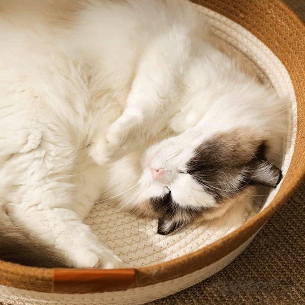 Handwoven Cotton Rope Cat Bed - Breathable & Easy to Clean, Foldable Scratchable Hammock with Cat Ear Design, with a Playing Ball for Kittens - Large Brown7