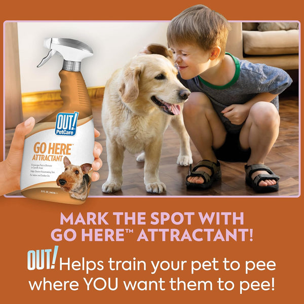OUT! Petcare Go Here Attractant, Potty Training Spray for Dogs, 32Oz | Dog Pee Spray, Puppy Potty Training, Housebreaking, Indoor & Outdoor, Pee Here Training, Training Aid, Easy Application5