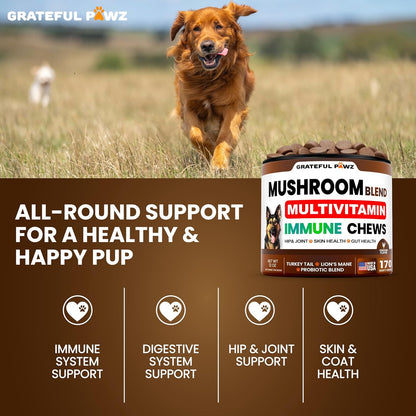 Turkey Tail Mushroom Supplement for Dogs - 170 Chews - Mushrooms for Dogs - Reishi, Lion’S Mane, Glucosamine Multivitamin - Immune Booster, Gut, Hip & Joint Health Support Vitamins, Energy & Skin5